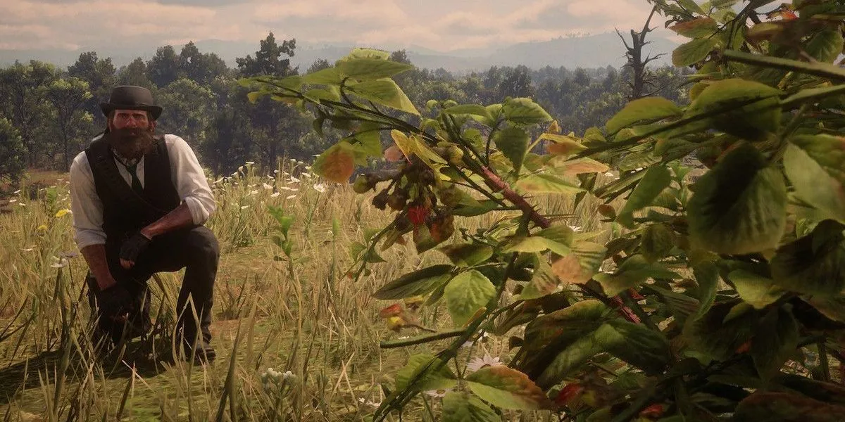 Arthur Morgan trong Red Dead Redemption 2 cúi người nhặt thực vật, minh họa nhiệm vụ thu thập vật phẩm tẻ nhạt.