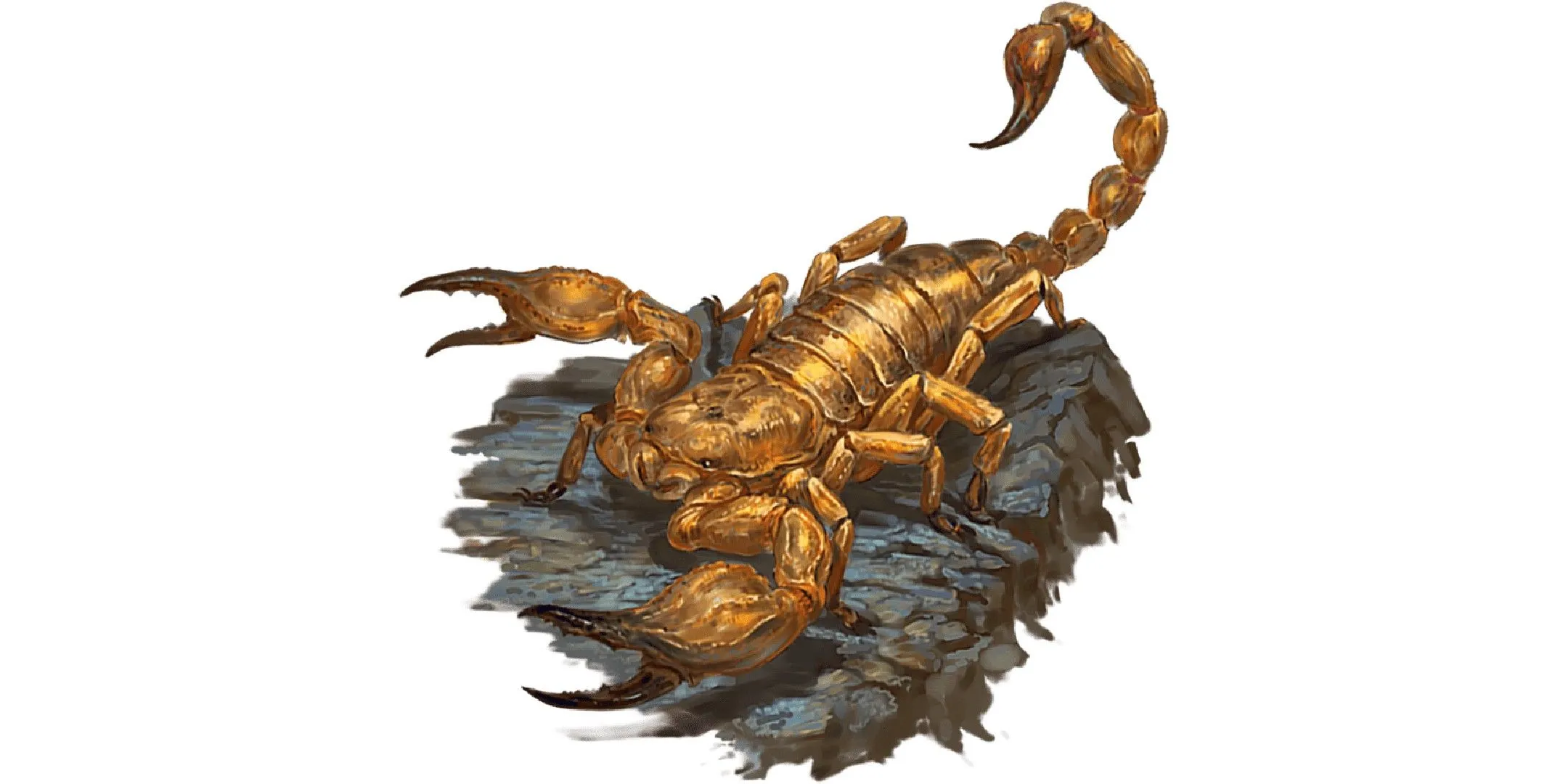 Hình ảnh một con bọ cạp lớn trong Dungeons &amp; Dragons, minh họa sinh vật có thể được triệu hồi bởi phép Giant Insect.