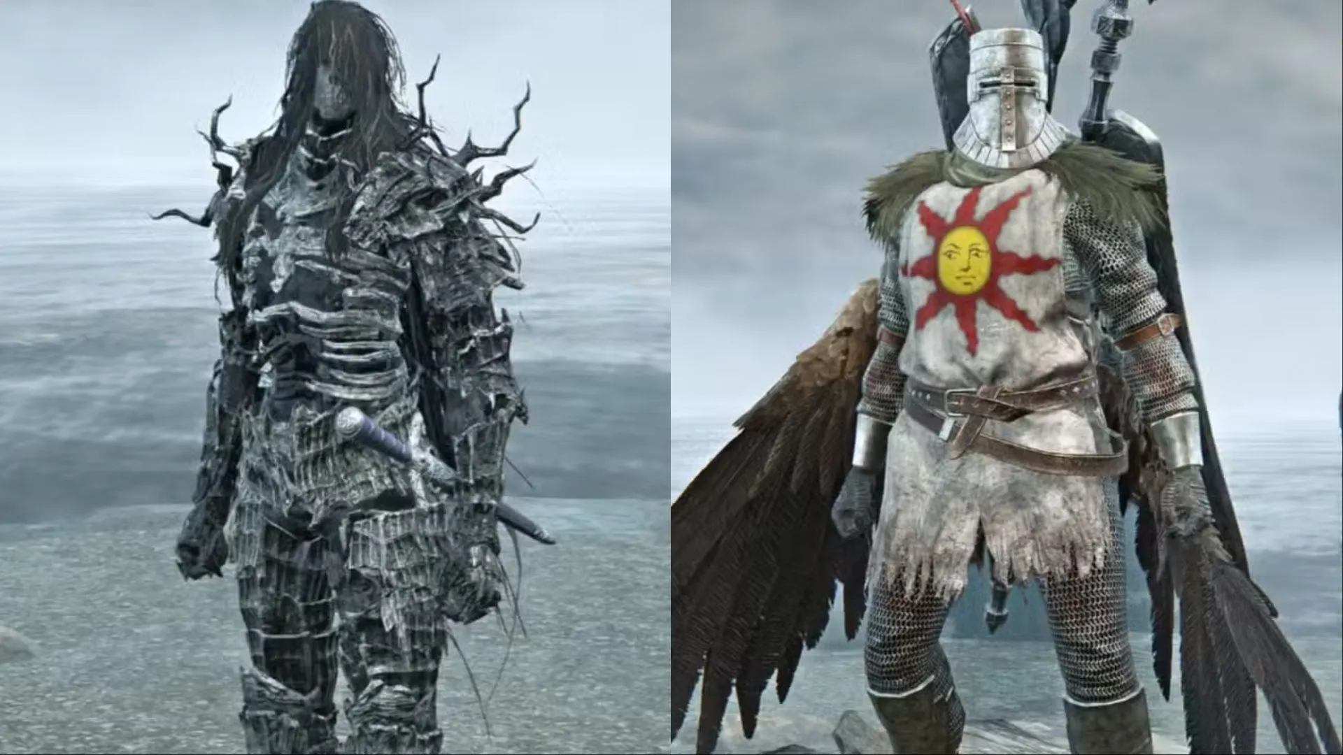 Người chơi mặc skin Darkwraith và Sunlight Knight (Solaire từ Dark Souls) trong Elden Ring Nightreign, một dấu hiệu về sự kết nối giữa các thế giới game FromSoftware