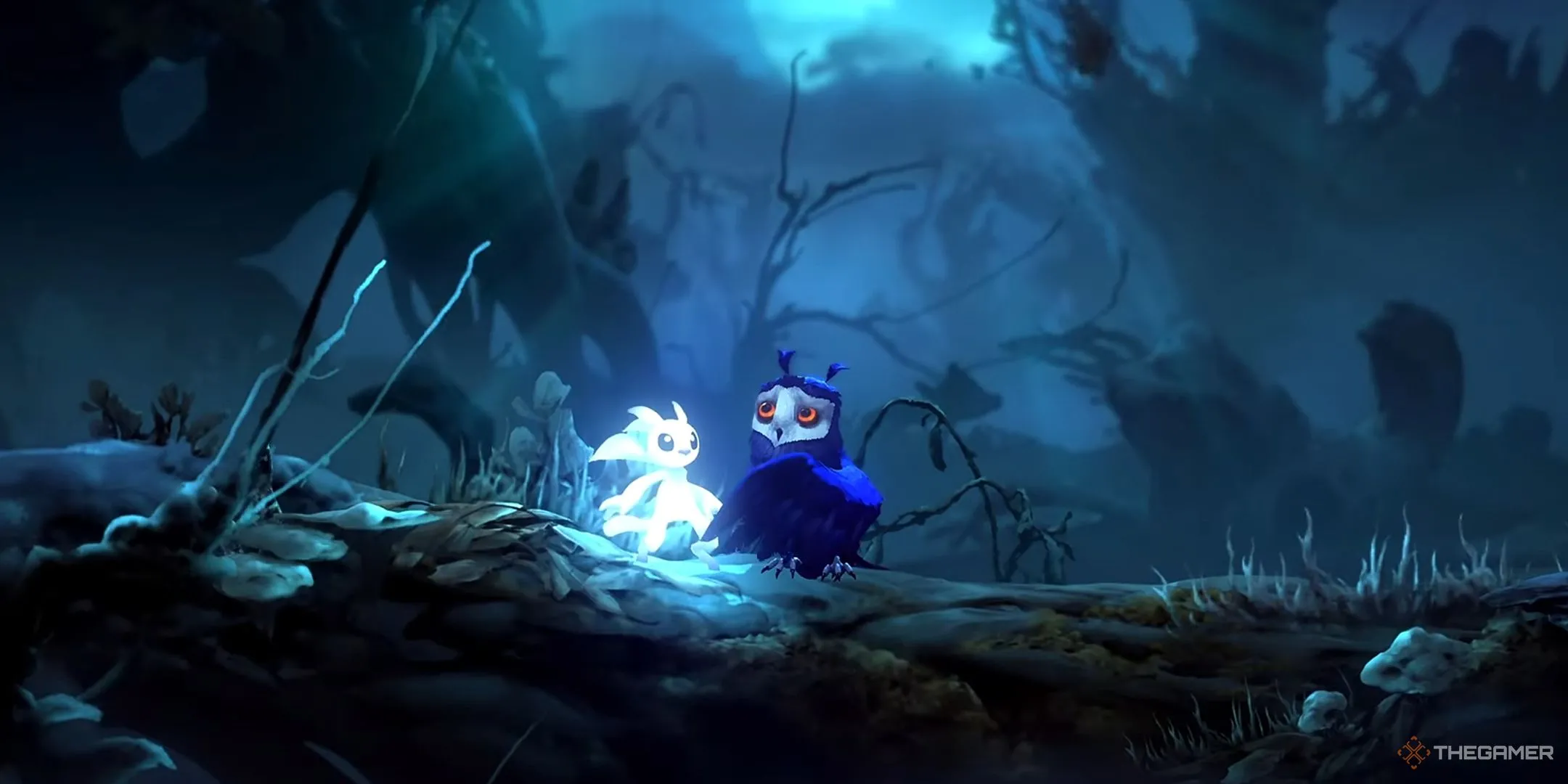 Ori và người bạn đồng hành Ku cùng nhau khám phá thế giới trong tựa game Ori and the Will of the Wisps.