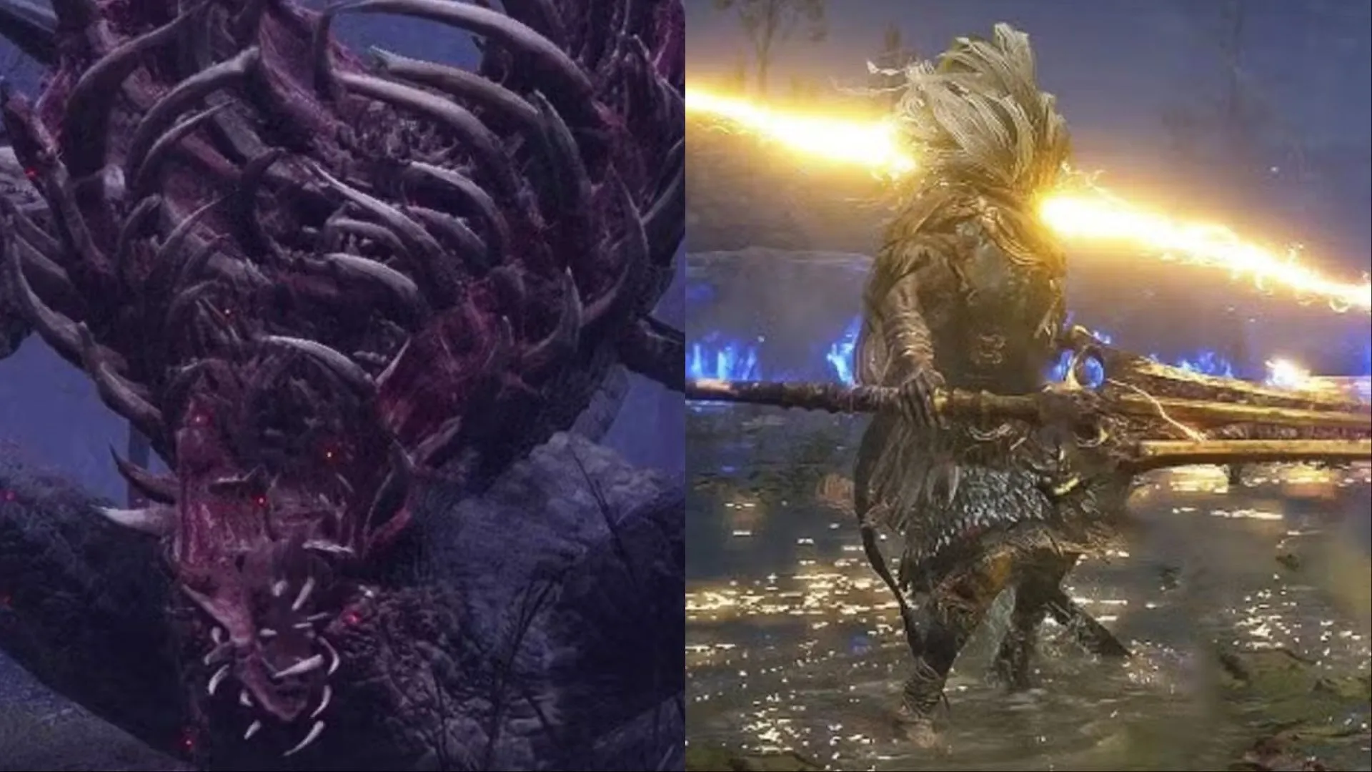 Trùm Dark Souls Gaping Dragon và Nameless King đối đầu trong Elden Ring Nightreign, gợi ý về sự liên kết vũ trụ game FromSoftware