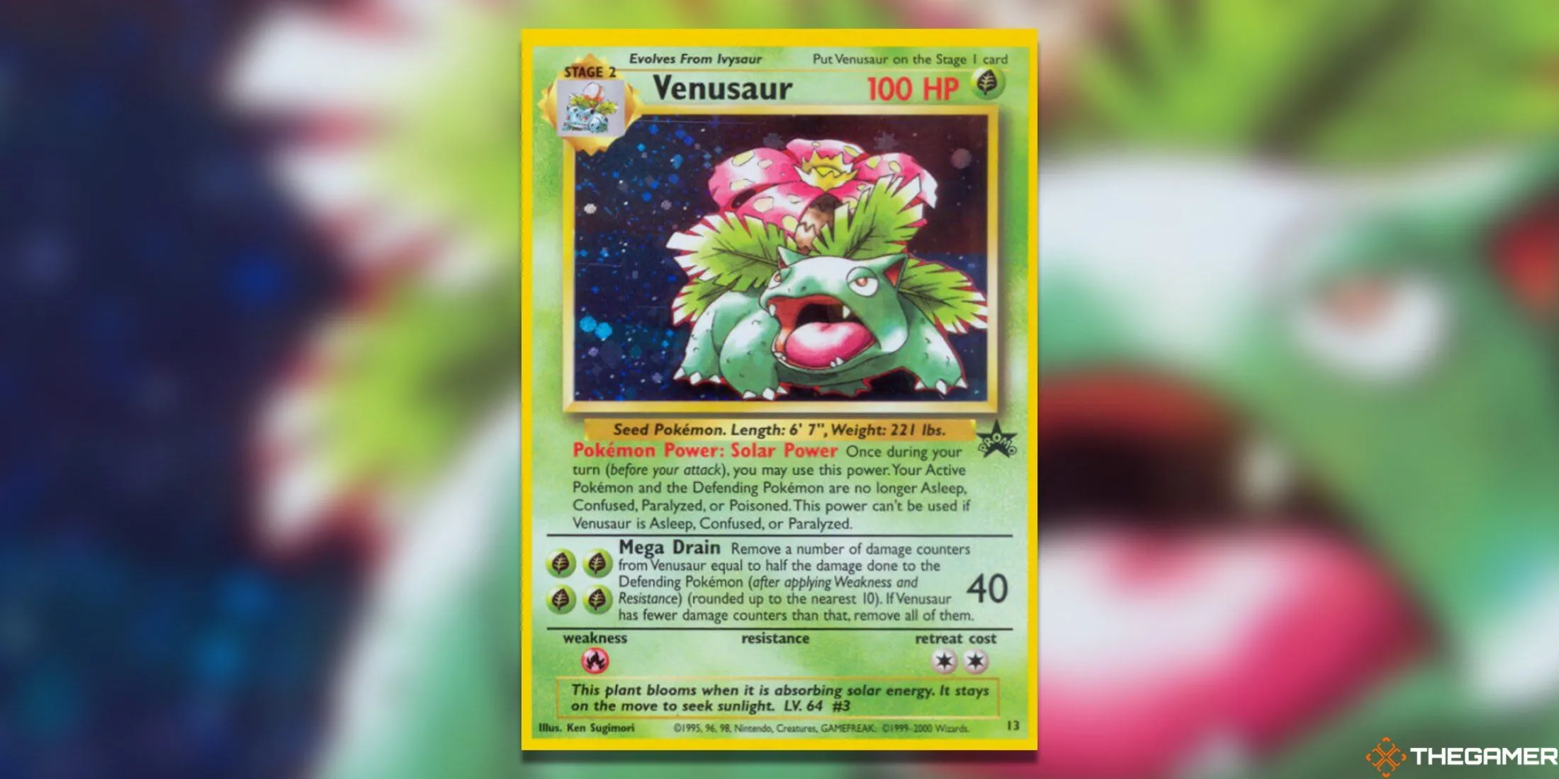 Venusaur WoTC Promo - Thẻ bài Pokemon TCG promo giá trị với thiết kế sprite game gốc
